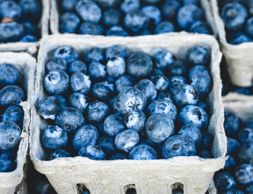 Blueberry Cobbler