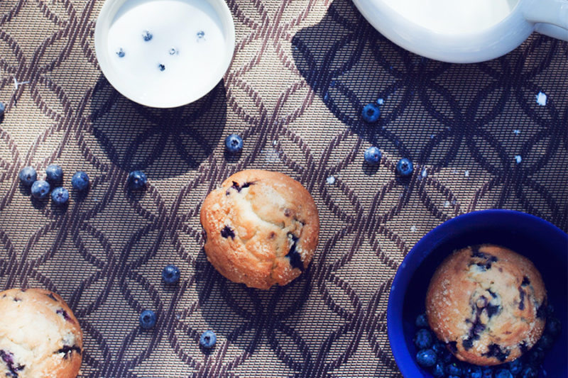 News & Updates Fritts Berry Farm DeMotte, Indiana Blueberry Farm